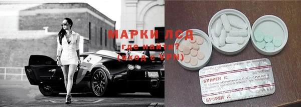 эйфоретик Аркадак