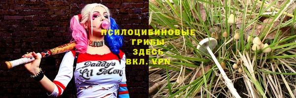 эйфоретик Фёдоровский