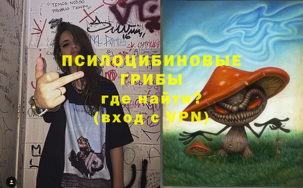 эйфоретик Аркадак